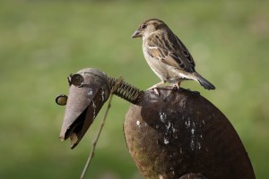 20260228 wh7 dxo9 resize